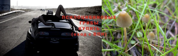не бодяженный Абинск