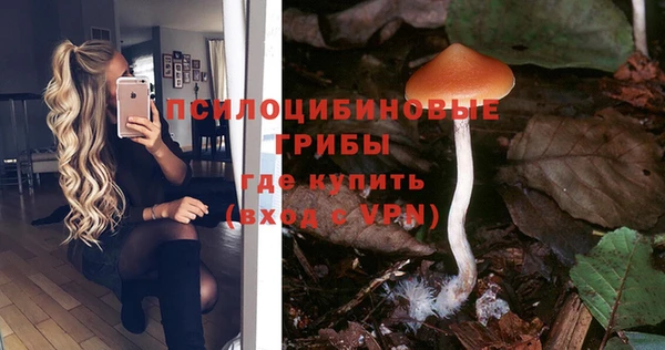 первитин Алексин