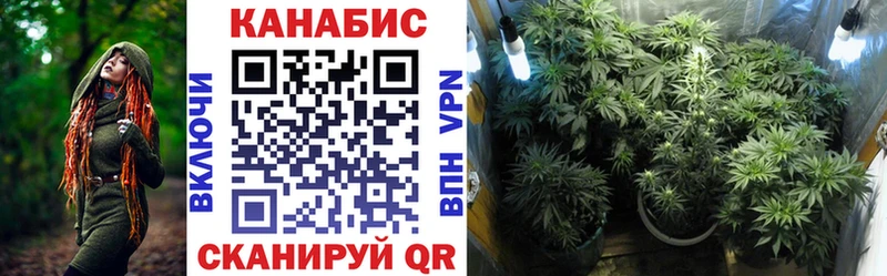 Шишки марихуана план Бирюсинск